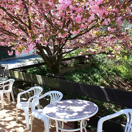 Discounts Prague Hotel Hotel Prag