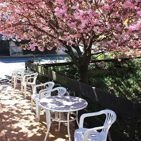 Hotel Discounts Prague Hotel Prag